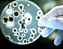 細(xì)胞實(shí)驗(yàn)室建設(shè)